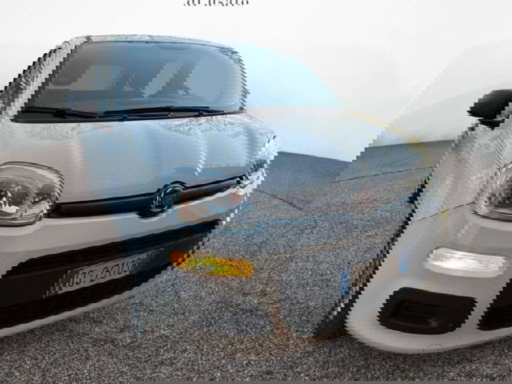 Fiat Panda usata a Firenze