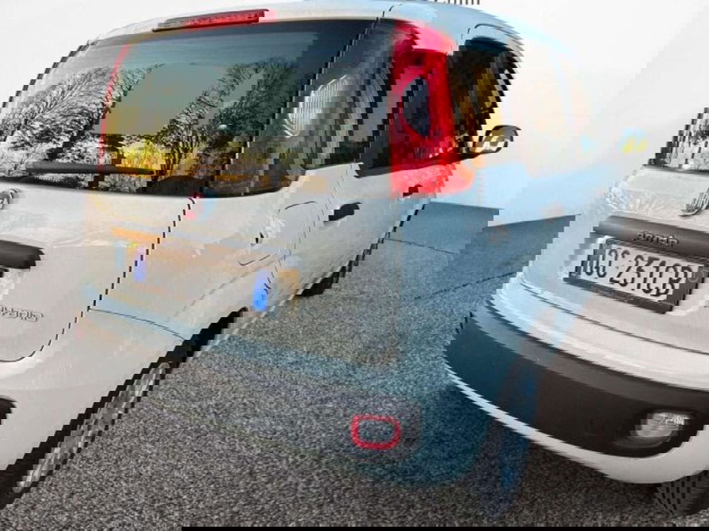 Fiat Panda usata a Firenze (4)