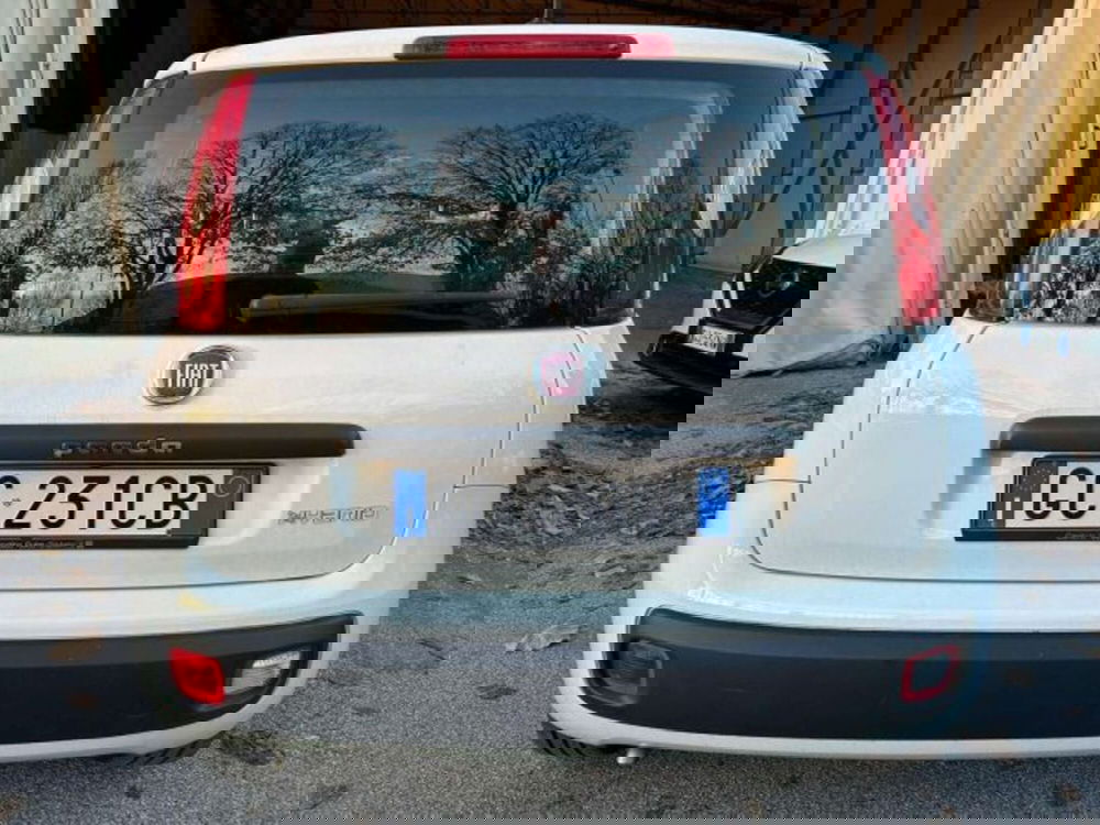 Fiat Panda usata a Firenze (5)