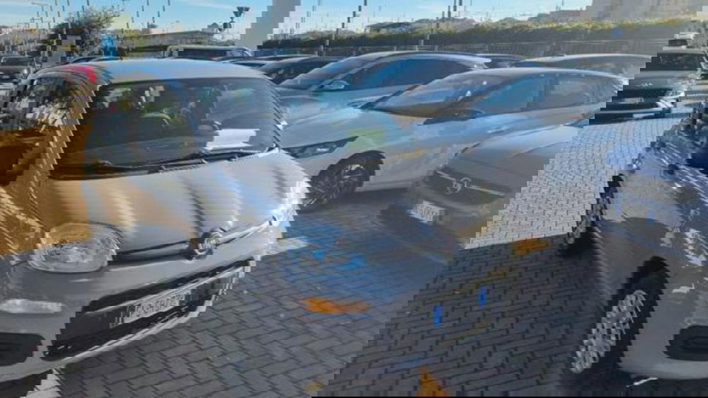 Fiat Panda usata a Savona (19)