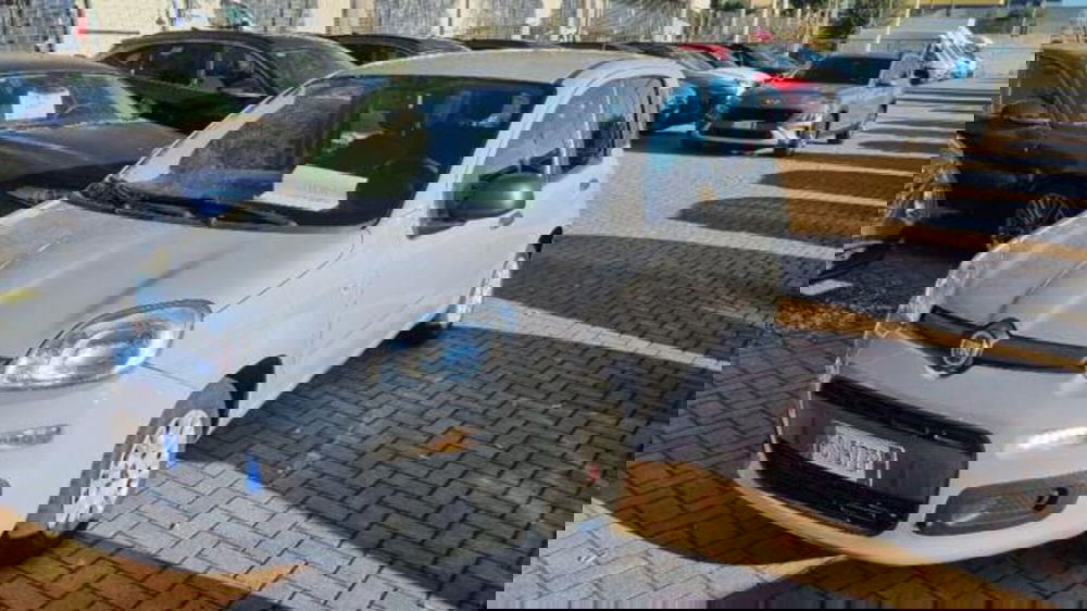 Fiat Panda usata a Savona (2)