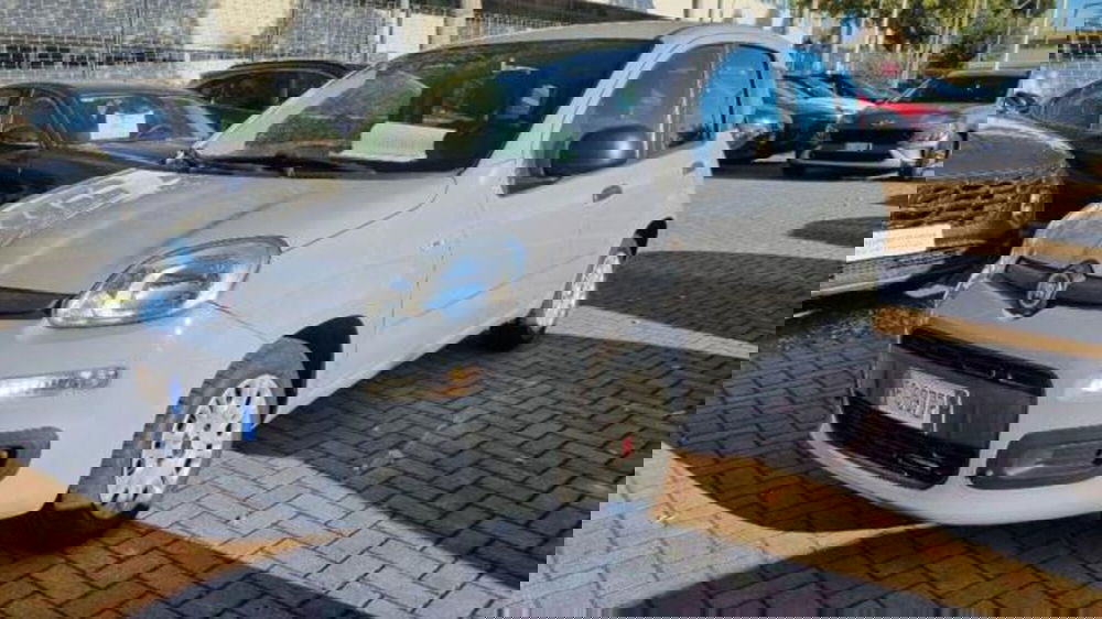 Fiat Panda usata a Savona (3)