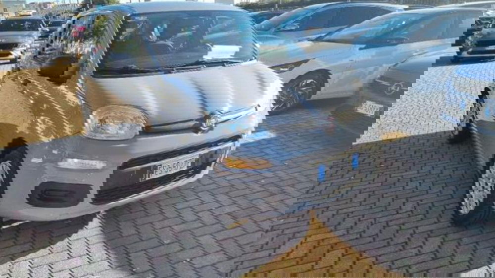 Fiat Panda usata a Savona (4)