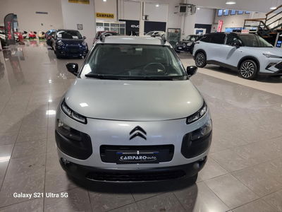 Citroen C4 Cactus BlueHDi 100 Shine del 2017 usata a Acqui Terme