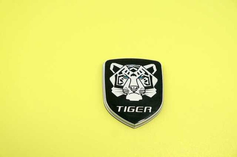 Tiger Six usata a Mantova (20)