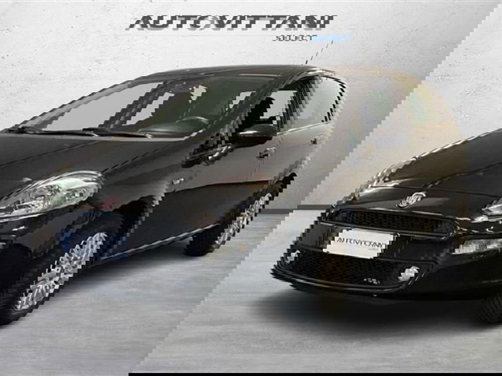 Fiat Punto usata a Como