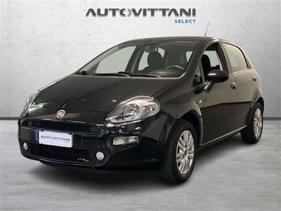 Fiat Punto 1.2 8V 5 porte Lounge del 2016 usata a Como