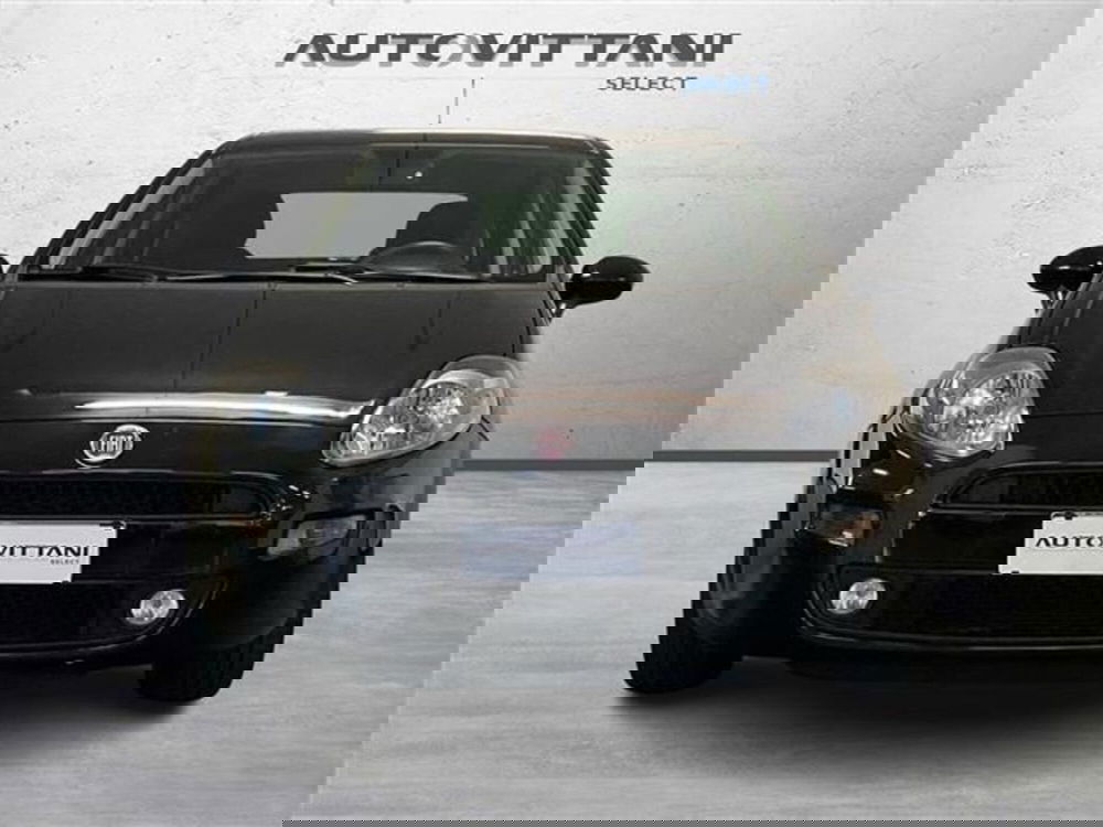 Fiat Punto usata a Como (2)