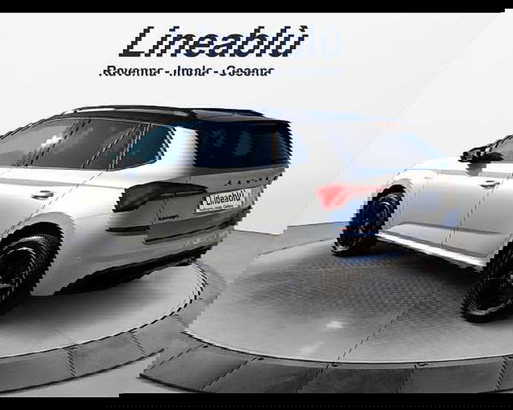 Skoda Kamiq usata a Ravenna (3)