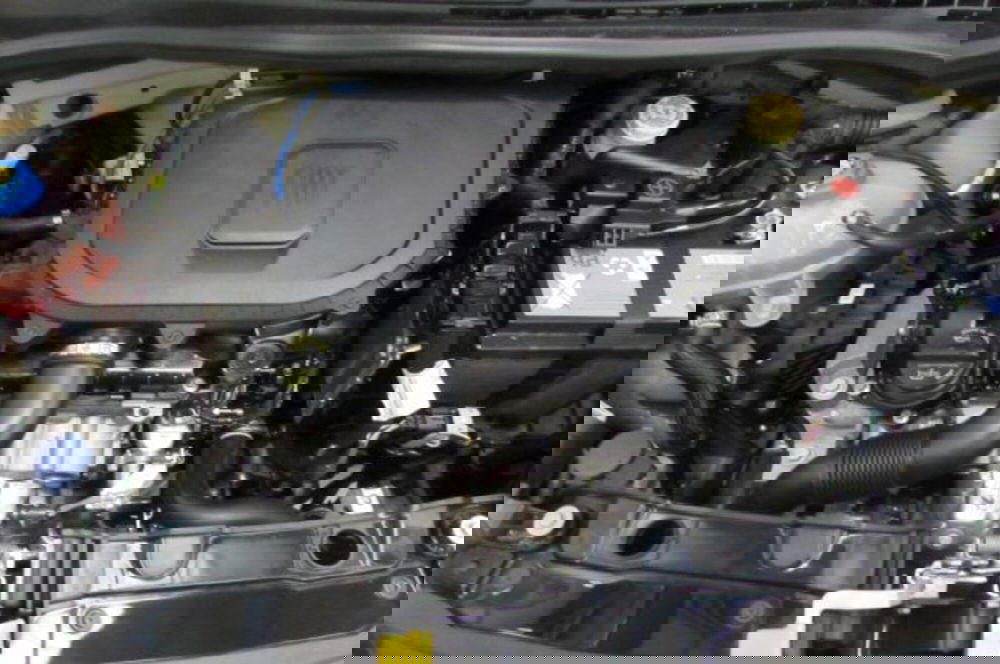 Fiat Panda usata a Milano (19)