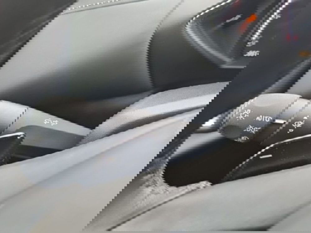 Ds DS 3 usata a Monza e Brianza (18)