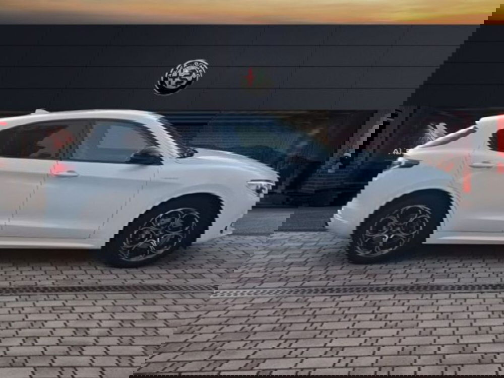 Alfa Romeo Stelvio usata a Monza e Brianza (4)