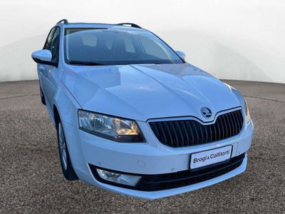 Skoda Octavia Station Wagon 1.6 TDI CR 110 CV DSG Wagon Executive Plus del 2016 usata a Empoli