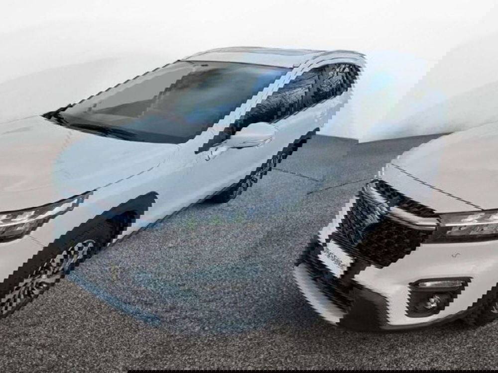 Suzuki S-Cross usata a Firenze (3)