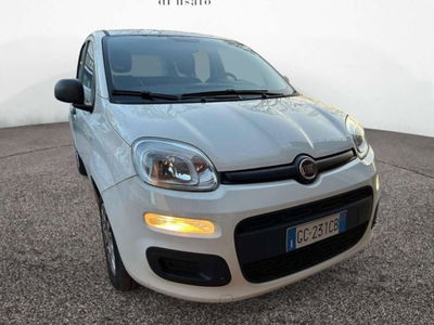 Fiat Panda 1.0 firefly hybrid s&amp;s 70cv 5p.ti del 2020 usata a Empoli