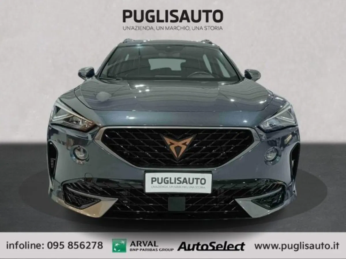 Cupra Formentor usata a Catania (2)
