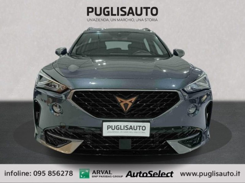 Cupra Formentor usata a Catania (2)
