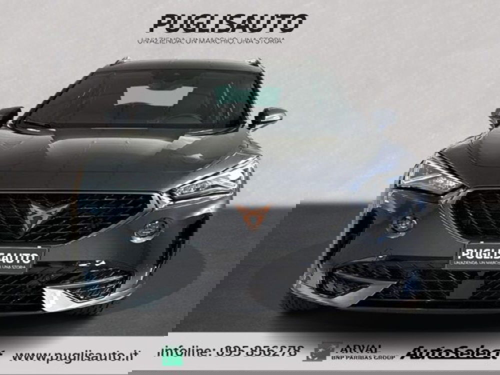 Cupra Formentor usata a Catania (2)