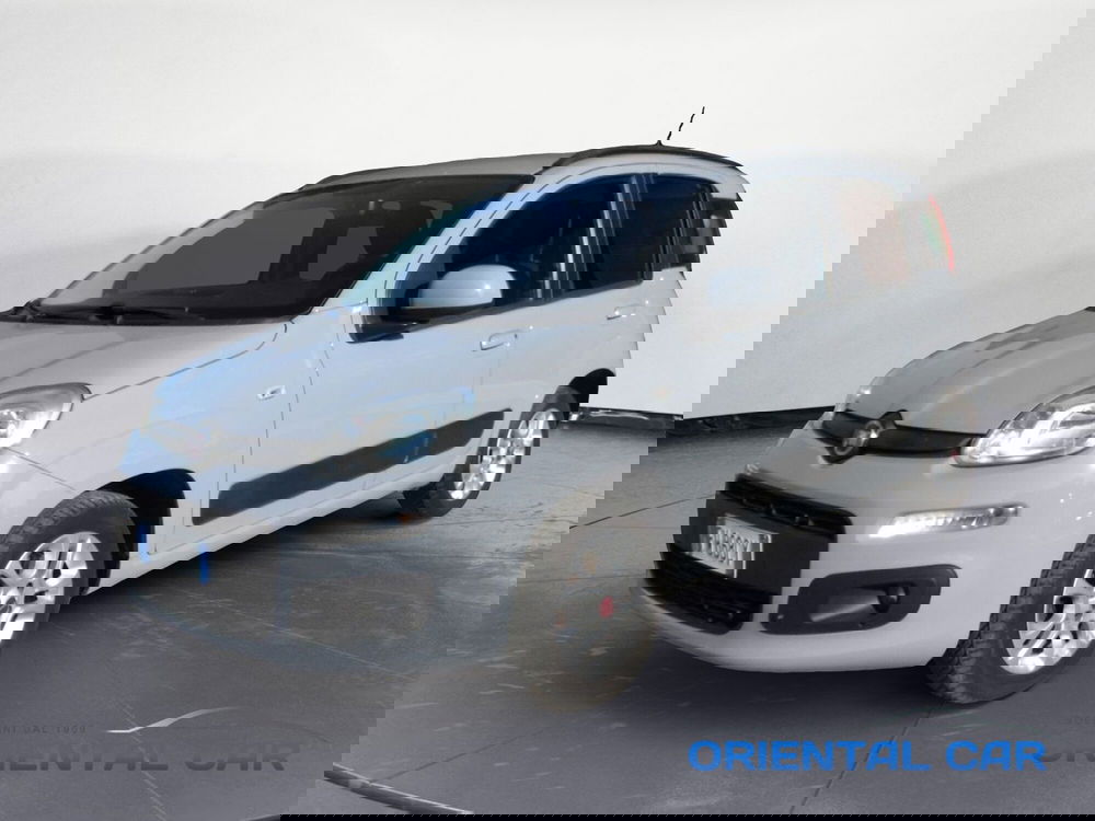 Fiat Panda usata a La Spezia (2)