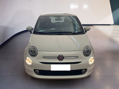 Fiat 500 1.0 Hybrid Cult del 2022 usata a Torino
