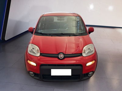 Fiat Panda 1.0 firefly hybrid s&amp;s 70cv 5p.ti del 2021 usata a Torino