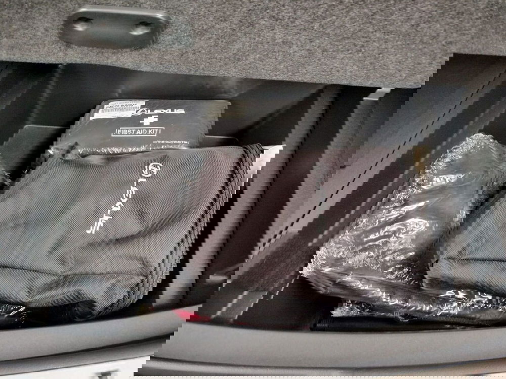 Lexus NX usata a Modena (17)