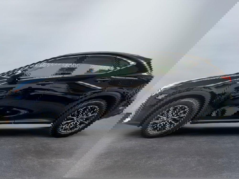 Lexus NX usata a Modena (3)