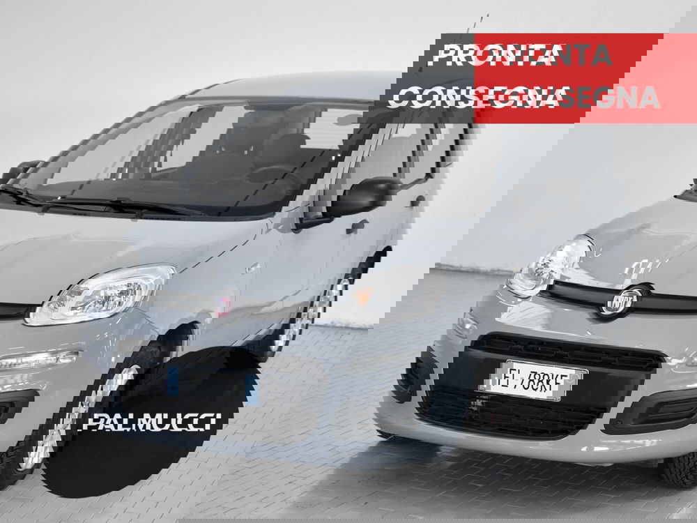 Fiat Panda usata a Prato