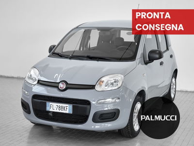 Fiat Panda 1.2 Easy del 2018 usata a Prato
