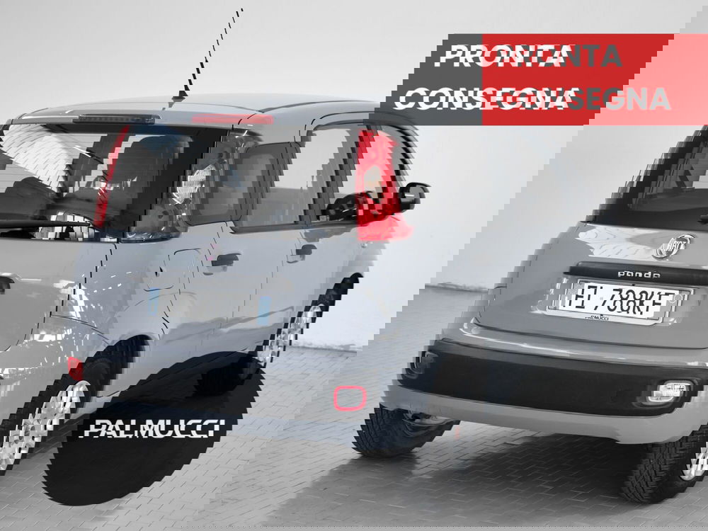 Fiat Panda usata a Prato (2)