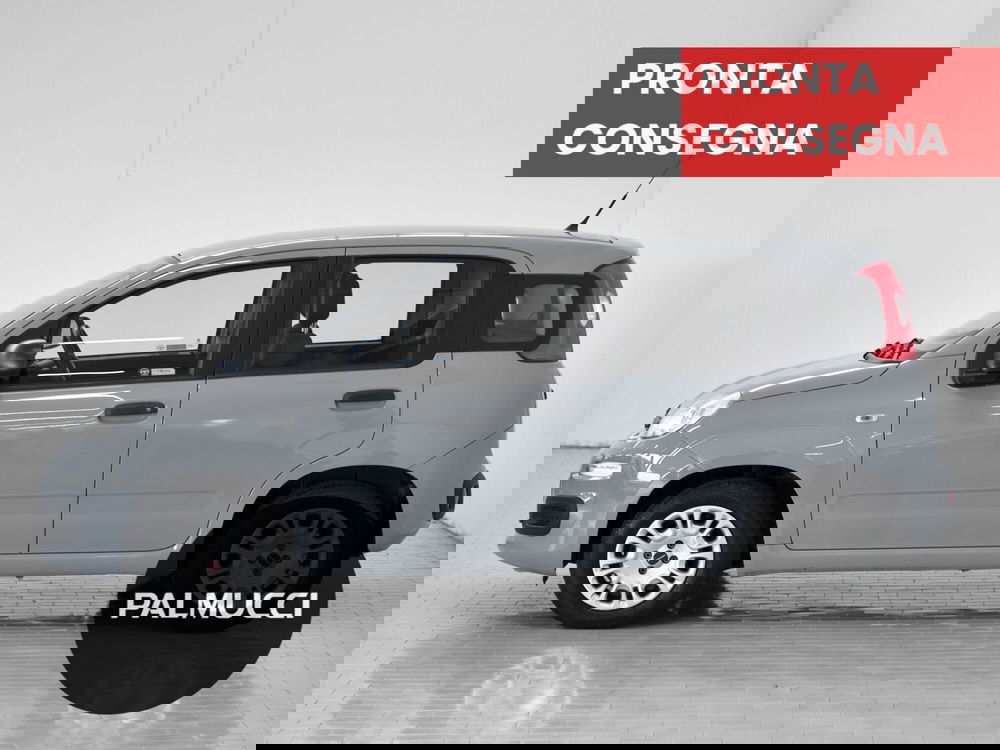 Fiat Panda usata a Prato (3)