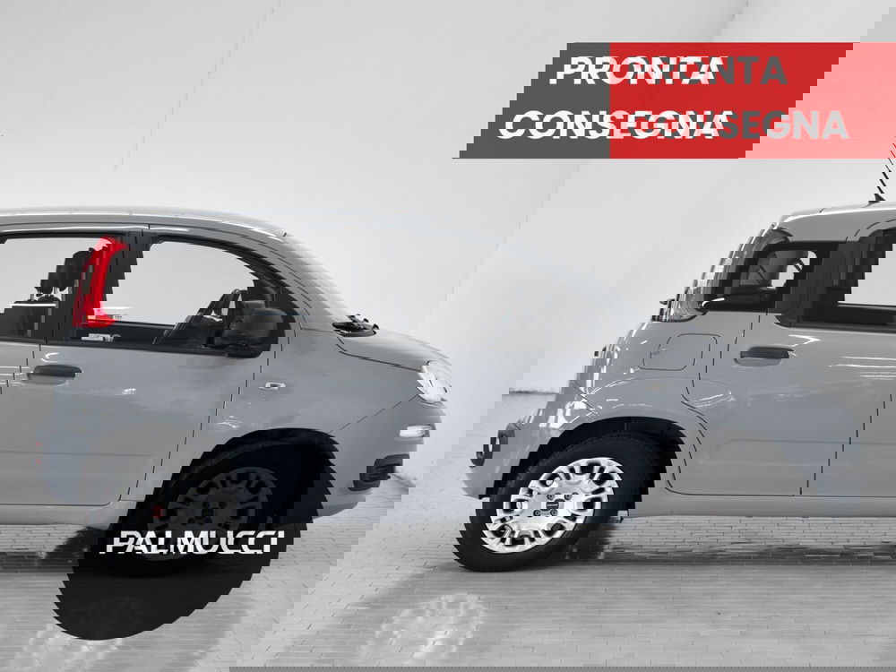 Fiat Panda usata a Prato (4)