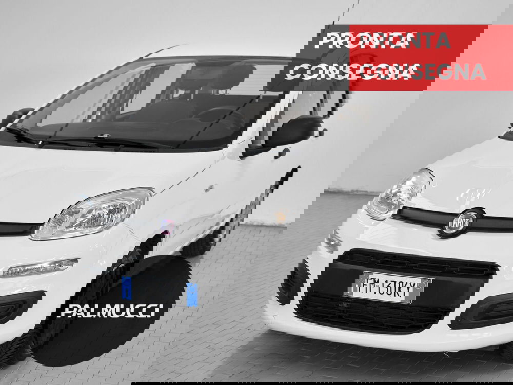 Fiat Panda usata a Prato