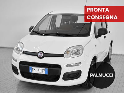 Fiat Panda 1.2 EasyPower Easy del 2017 usata a Prato