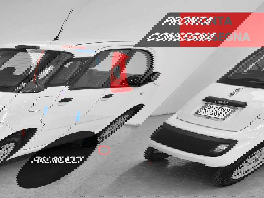 Fiat Panda usata a Prato (2)