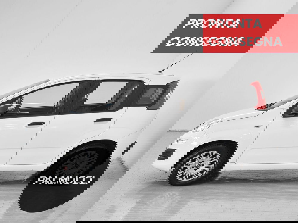 Fiat Panda usata a Prato (3)