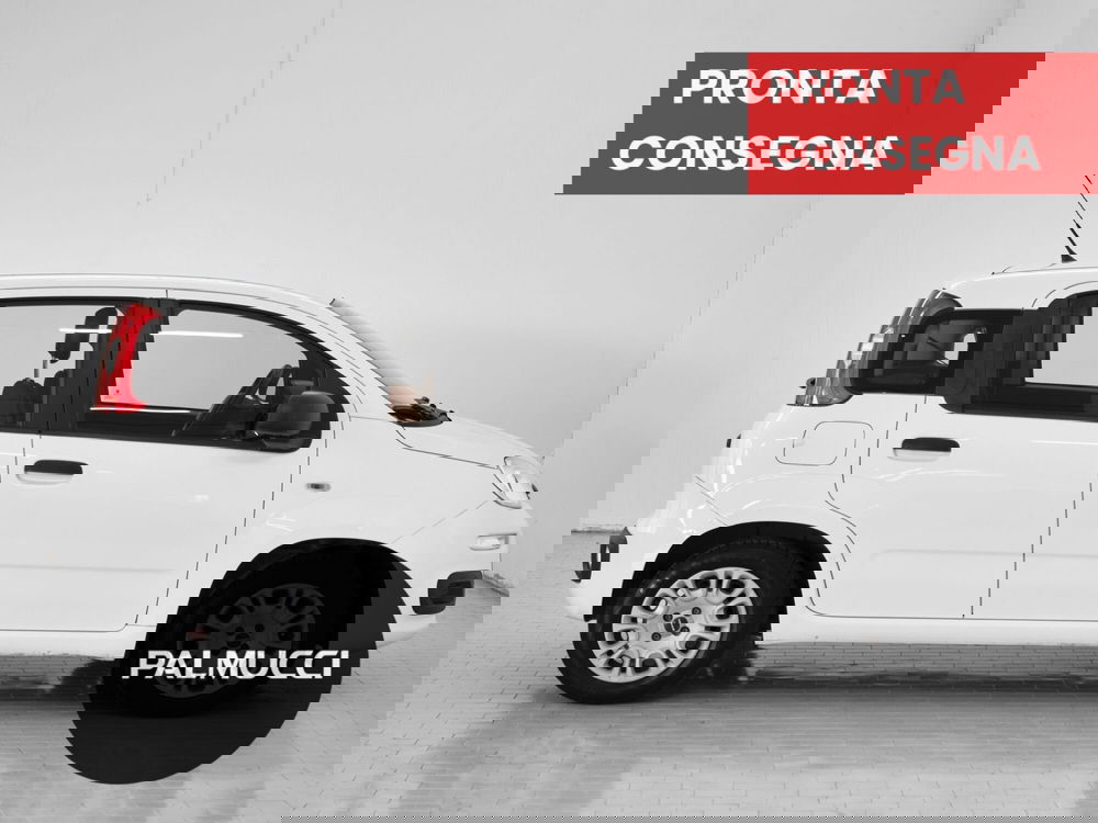 Fiat Panda usata a Prato (4)