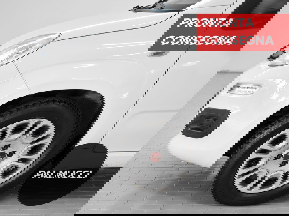 Fiat Panda usata a Prato (5)