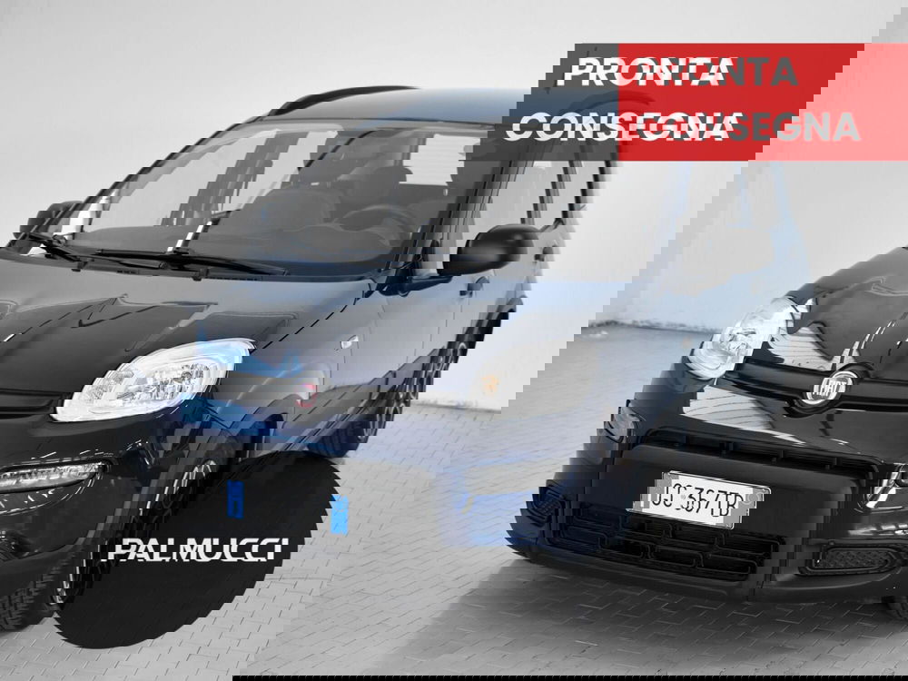 Fiat Panda usata a Prato