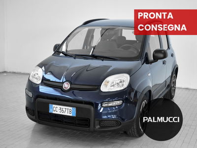Fiat Panda 1.0 FireFly S&amp;S Hybrid City Cross del 2021 usata a Prato