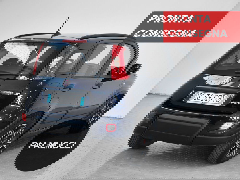 Fiat Panda usata a Prato (2)