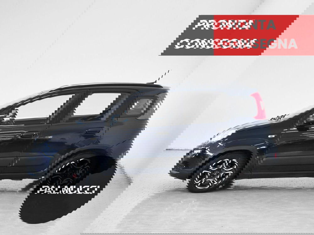 Fiat Panda usata a Prato (3)