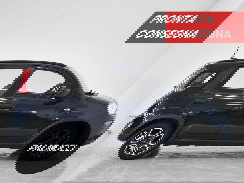 Fiat Panda usata a Prato (4)