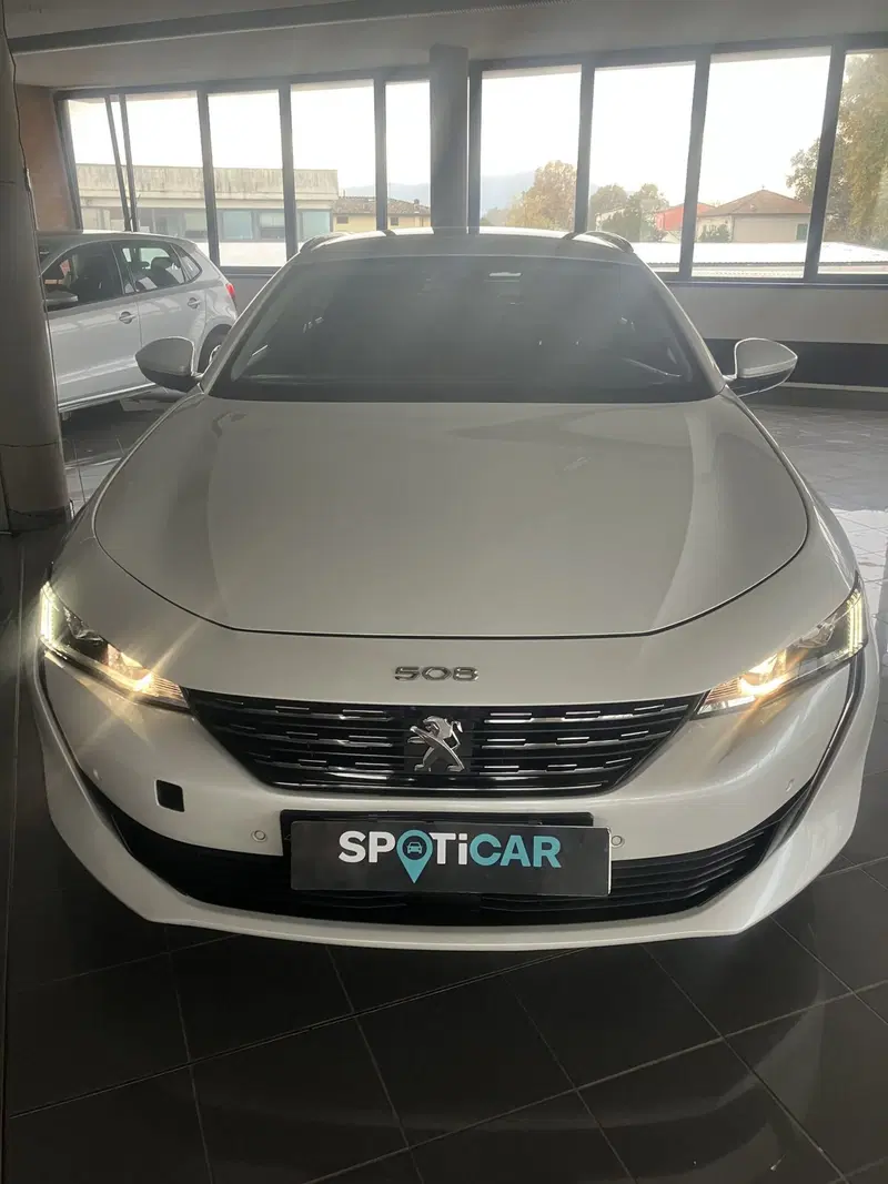 Peugeot 508 SW usata a Lucca (3)