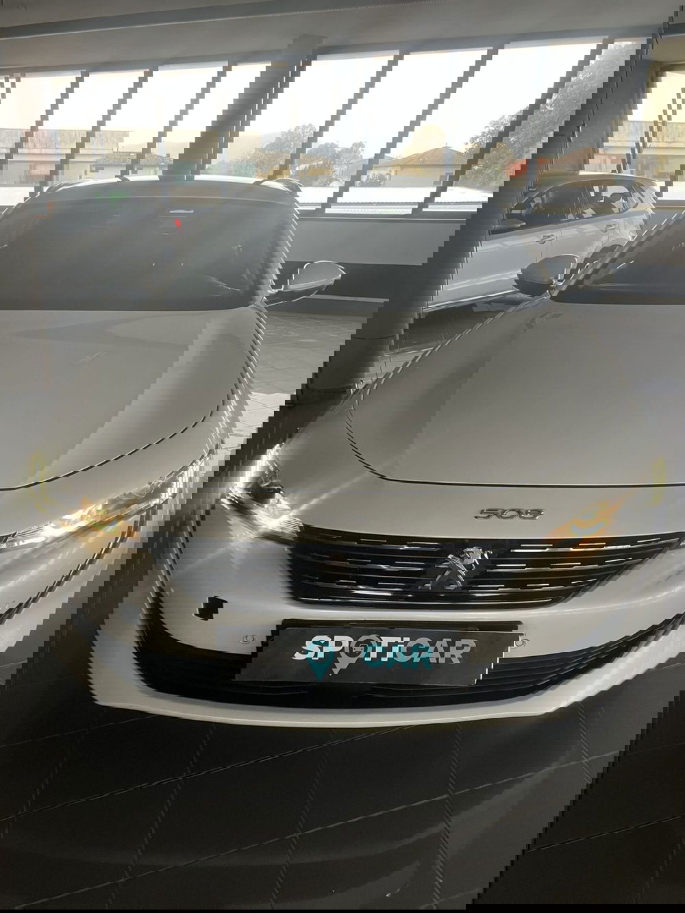 Peugeot 508 SW usata a Lucca (3)
