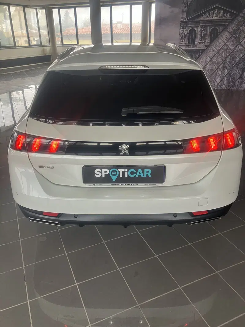 Peugeot 508 SW usata a Lucca (5)