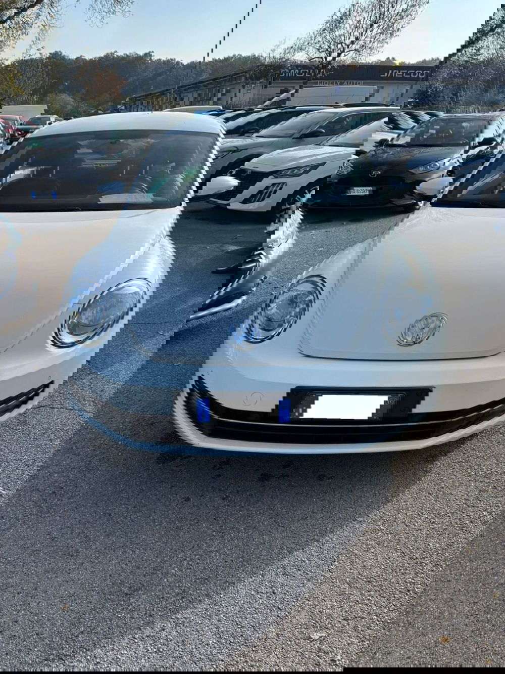 Volkswagen Maggiolino usata a Frosinone (3)