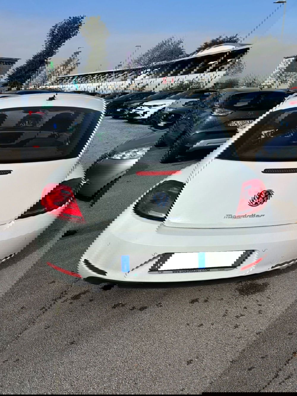 Volkswagen Maggiolino usata a Frosinone (5)