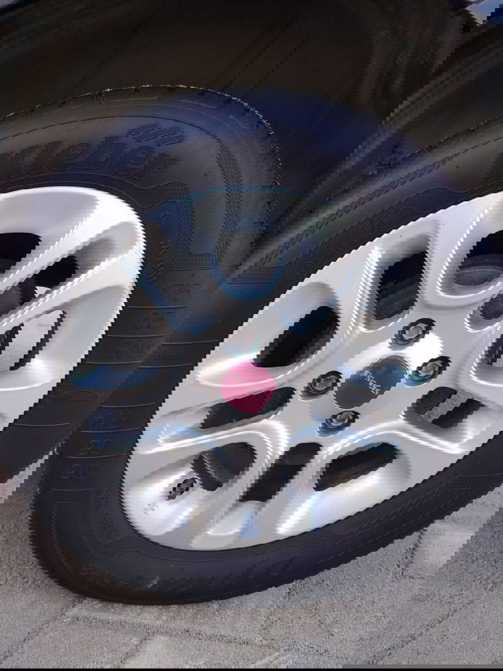 Fiat Panda usata a Massa-Carrara (11)