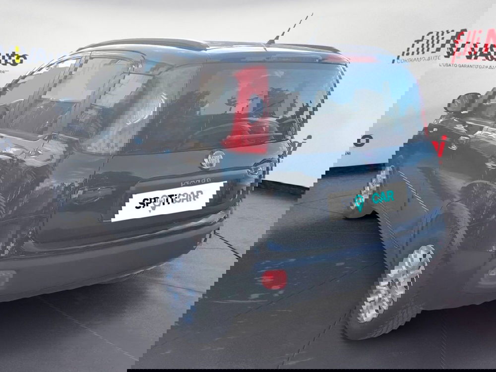 Fiat Panda usata a Massa-Carrara (15)